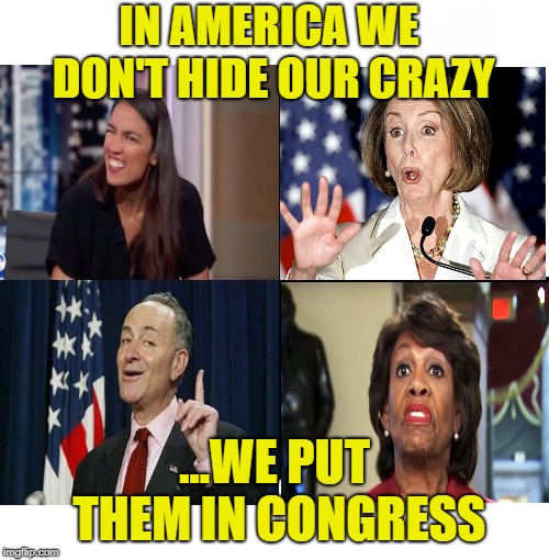 Blank Starter Pack Meme | IN AMERICA WE DON'T HIDE OUR CRAZY; ...WE PUT THEM IN CONGRESS | image tagged in crazy alexandria ocasio-cortez,nancy pelosi,chuck schumer,maxine waters,democrats | made w/ Imgflip meme maker