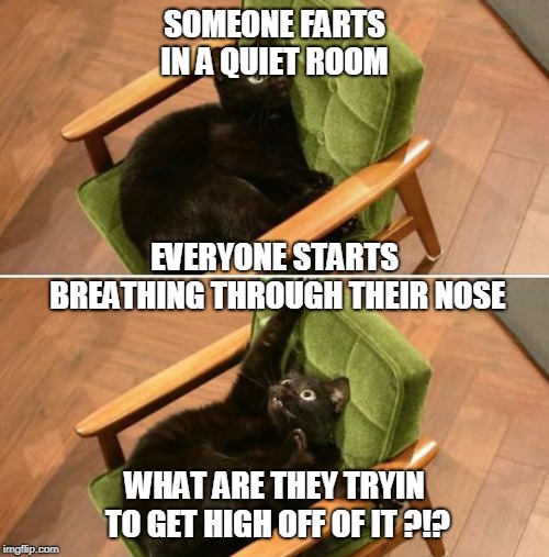 FART CAT | SOMEONE FARTS IN A QUIET ROOM; EVERYONE STARTS BREATHING THROUGH THEIR NOSE; WHAT ARE THEY TRYIN TO GET HIGH OFF OF IT ?!? | image tagged in crazy black cat,fart | made w/ Imgflip meme maker