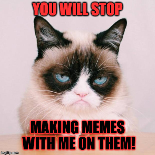 He appears really annoyed... | YOU WILL STOP; MAKING MEMES WITH ME ON THEM! | image tagged in grumpy cat again,threat,memes,cat memes | made w/ Imgflip meme maker