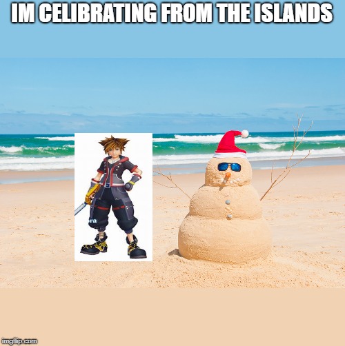Happy Holidays From Florida | IM CELIBRATING FROM THE ISLANDS | image tagged in happy holidays from florida | made w/ Imgflip meme maker