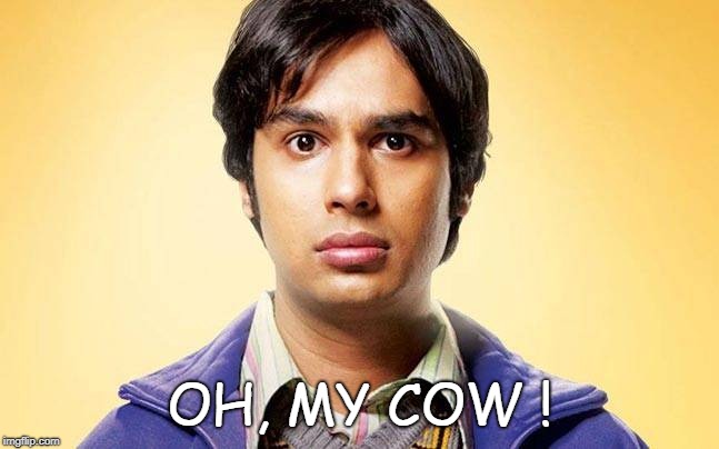 OH, MY COW ! | image tagged in omg | made w/ Imgflip meme maker