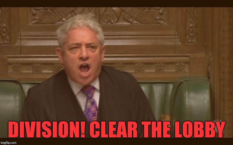Parliamentary Process At Work | DIVISION! CLEAR THE LOBBY | image tagged in brexit,house of commons,yayaya | made w/ Imgflip meme maker