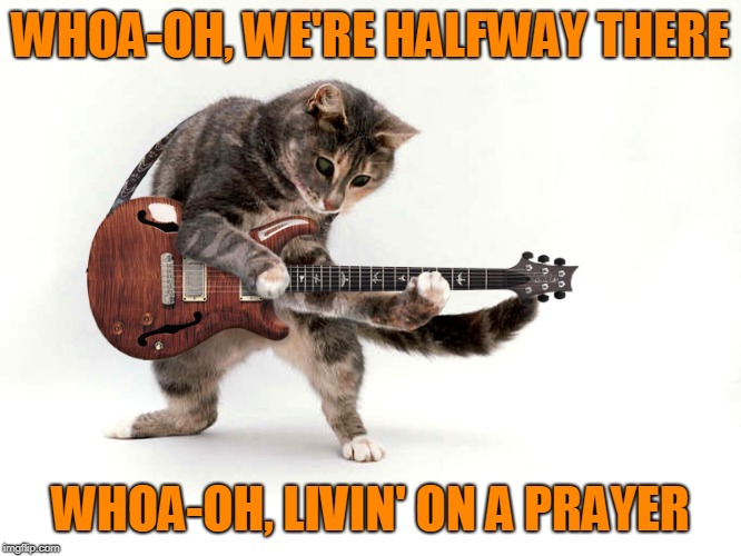 Guitar cat | WHOA-OH, WE'RE HALFWAY THERE WHOA-OH, LIVIN' ON A PRAYER | image tagged in guitar cat | made w/ Imgflip meme maker