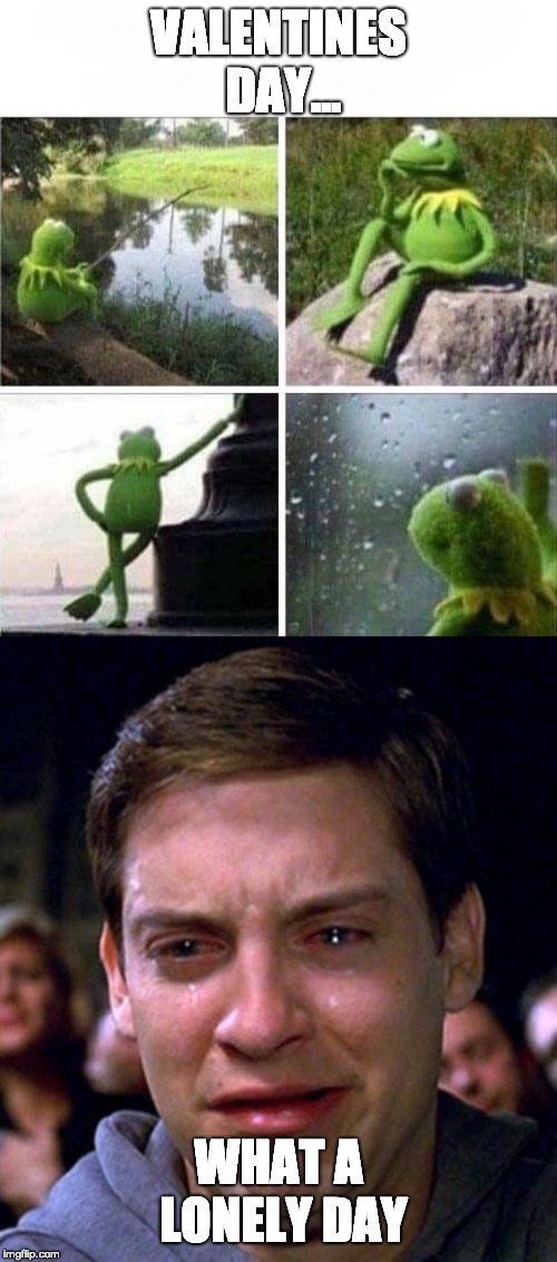 VALENTINES DAY... WHAT A LONELY DAY | image tagged in crying peter parker,kermit - forever alone | made w/ Imgflip meme maker