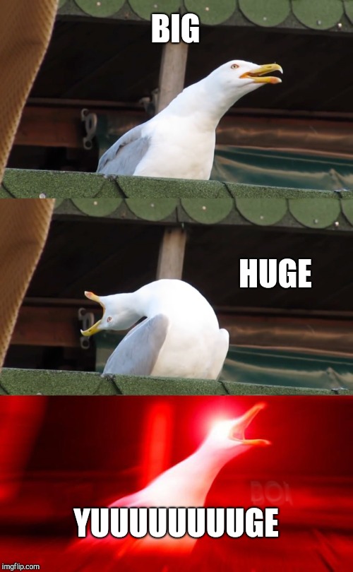 Inhaling seagull | BIG HUGE YUUUUUUUUGE | image tagged in inhaling seagull | made w/ Imgflip meme maker