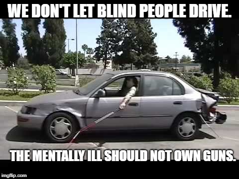 Driving Blind | WE DON'T LET BLIND PEOPLE DRIVE. THE MENTALLY ILL SHOULD NOT OWN GUNS. | image tagged in political meme | made w/ Imgflip meme maker
