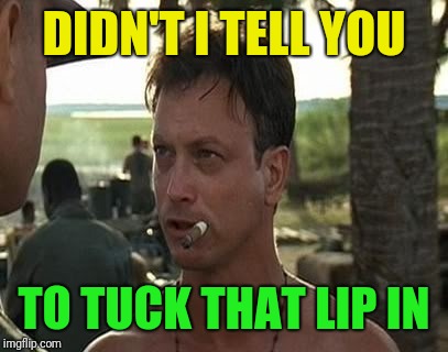 DIDN'T I TELL YOU TO TUCK THAT LIP IN | made w/ Imgflip meme maker