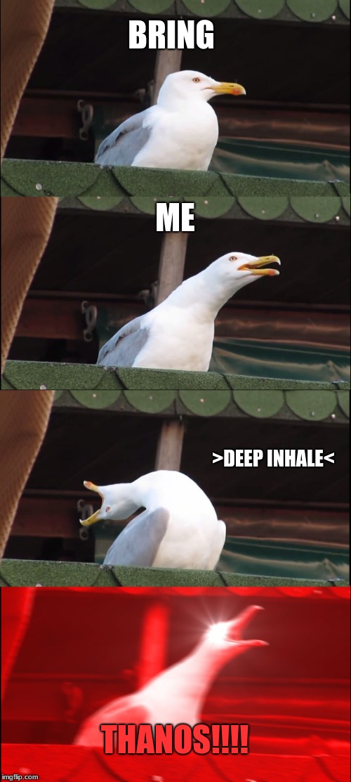 Thor Seagull | BRING; ME; >DEEP INHALE<; THANOS!!!! | image tagged in memes,inhaling seagull | made w/ Imgflip meme maker