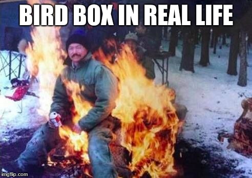 LIGAF | BIRD BOX IN REAL LIFE | image tagged in memes,ligaf | made w/ Imgflip meme maker