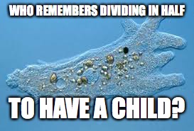 Amoeba | WHO REMEMBERS DIVIDING IN HALF; TO HAVE A CHILD? | image tagged in amoeba | made w/ Imgflip meme maker