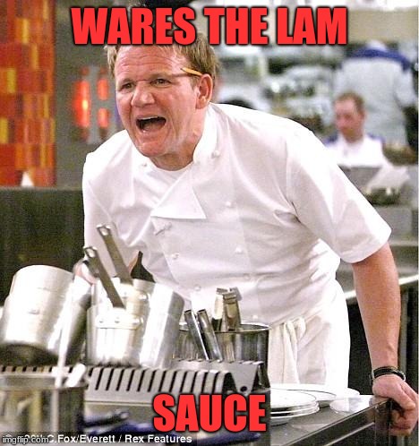 Chef Gordon Ramsay | WARES THE LAM; SAUCE | image tagged in memes,chef gordon ramsay | made w/ Imgflip meme maker
