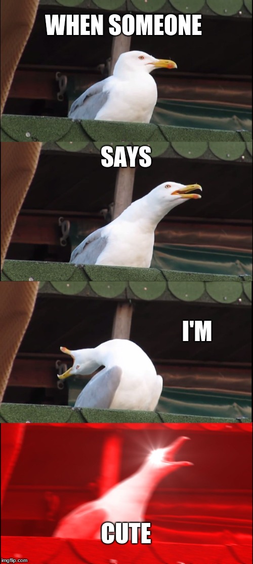 Inhaling Seagull | WHEN SOMEONE; SAYS; I'M; CUTE | image tagged in memes,inhaling seagull | made w/ Imgflip meme maker