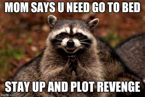 Evil Plotting Raccoon | MOM SAYS U NEED GO TO BED; STAY UP AND PLOT REVENGE | image tagged in memes,evil plotting raccoon | made w/ Imgflip meme maker