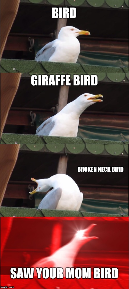 get rekt | BIRD; GIRAFFE BIRD; BROKEN NECK BIRD; SAW YOUR MOM BIRD | image tagged in memes,inhaling seagull,your mom | made w/ Imgflip meme maker