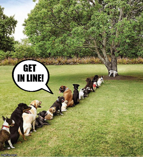 GET IN LINE! | made w/ Imgflip meme maker