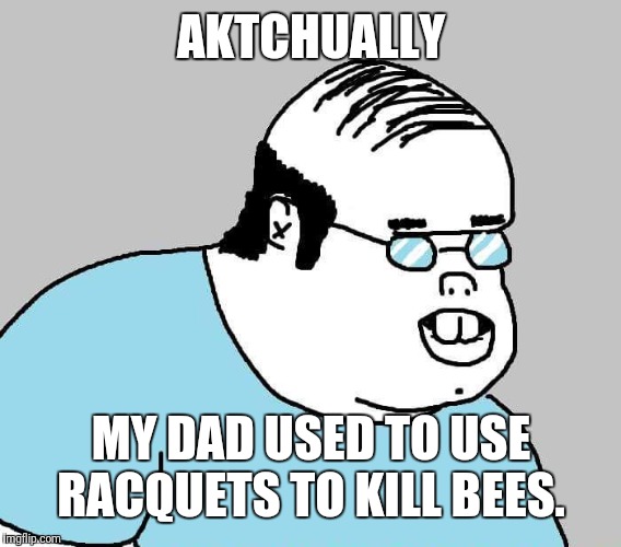 Actually | AKTCHUALLY MY DAD USED TO USE RACQUETS TO KILL BEES. | image tagged in actually | made w/ Imgflip meme maker