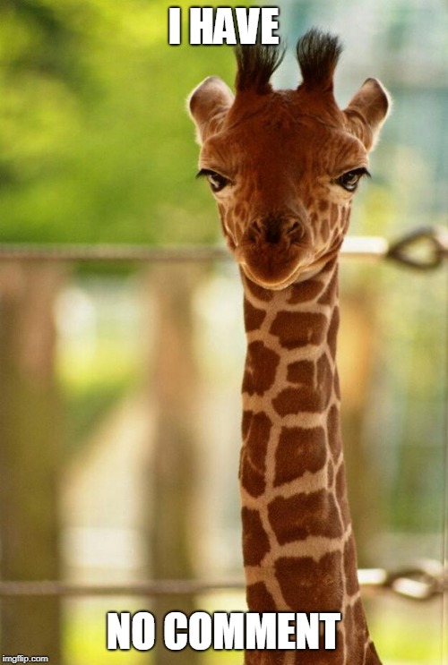 no comment giraffe | I HAVE NO COMMENT | image tagged in no comment giraffe | made w/ Imgflip meme maker