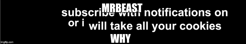 MrBeast | MRBEAST; WHY | image tagged in mrbeast | made w/ Imgflip meme maker