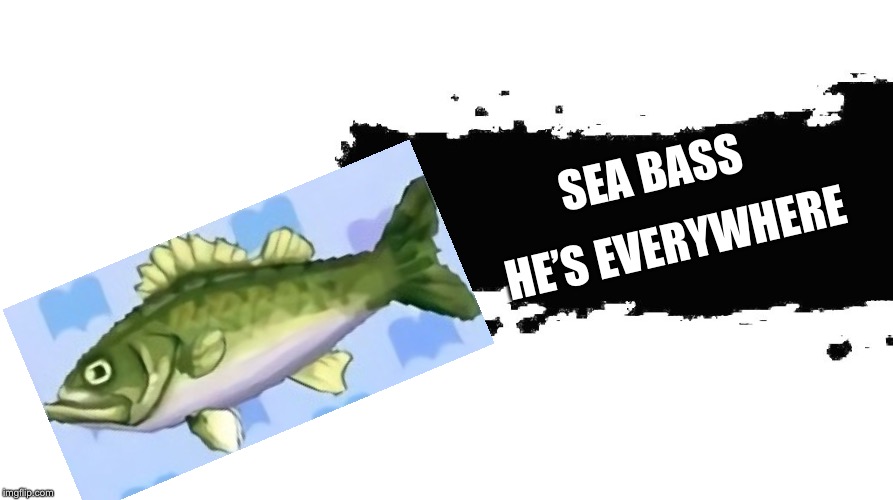 Smash Bros Newcomer | HE’S EVERYWHERE; SEA BASS | image tagged in smash bros newcomer | made w/ Imgflip meme maker