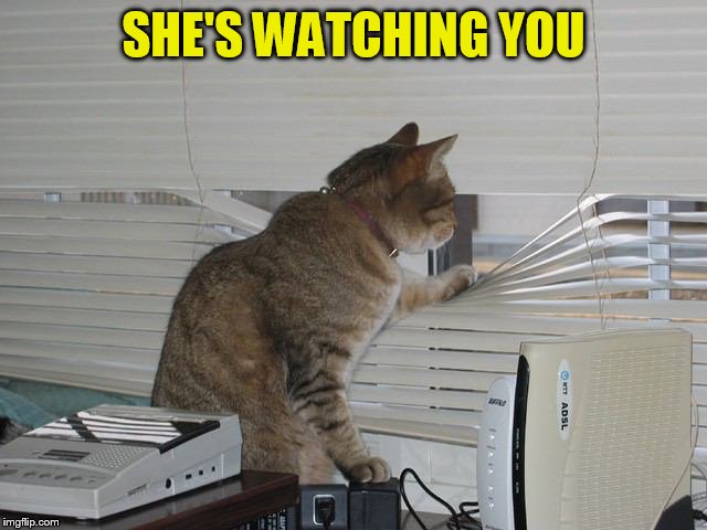 SHE'S WATCHING YOU | made w/ Imgflip meme maker