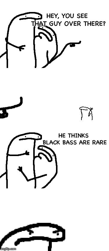 Hey you see that guy over there | HEY, YOU SEE THAT GUY OVER THERE? HE THINKS BLACK BASS ARE RARE | image tagged in hey you see that guy over there | made w/ Imgflip meme maker