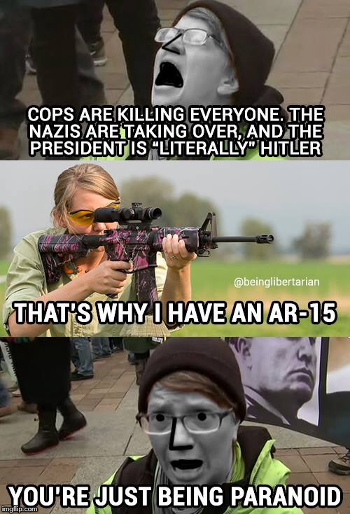 image tagged in gun control,nazi,liberal logic,drumpf,snowflake,triggered liberal | made w/ Imgflip meme maker