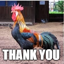 Cock Rooster | THANK YOU | image tagged in cock rooster | made w/ Imgflip meme maker