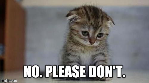 Sad kitten | NO. PLEASE DON'T. | image tagged in sad kitten | made w/ Imgflip meme maker