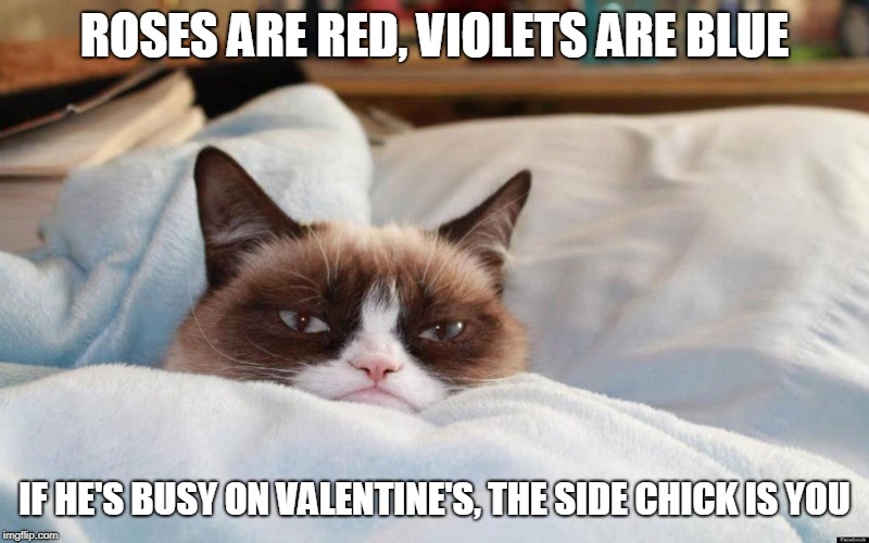 A Valentine's Day Message (Grumpy Cat style). | ROSES ARE RED, VIOLETS ARE BLUE; IF HE'S BUSY ON VALENTINE'S, THE SIDE CHICK IS YOU | image tagged in grumpy cat bed,memes,valentine,valentine's day,grumpy cat,side chick | made w/ Imgflip meme maker