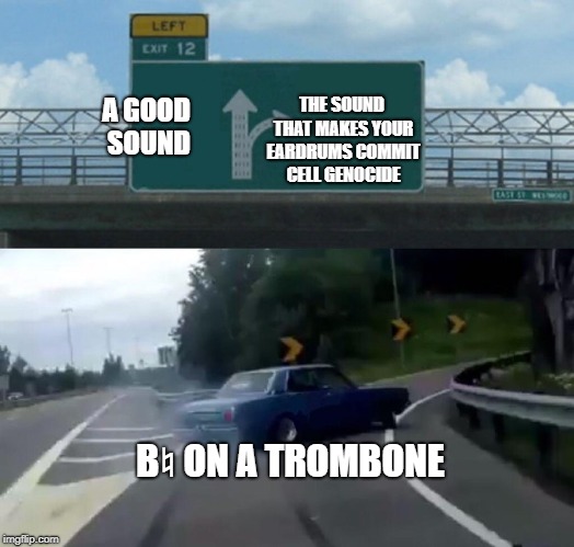 Left Exit 12 Off Ramp | THE SOUND THAT MAKES YOUR EARDRUMS COMMIT CELL GENOCIDE; A GOOD SOUND; B♮ ON A TROMBONE | image tagged in memes,left exit 12 off ramp | made w/ Imgflip meme maker