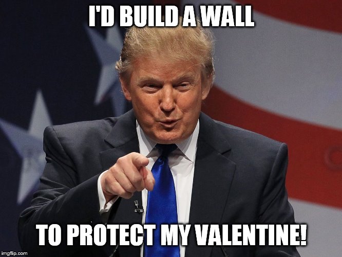 Donald trump | I'D BUILD A WALL; TO PROTECT MY VALENTINE! | image tagged in donald trump | made w/ Imgflip meme maker