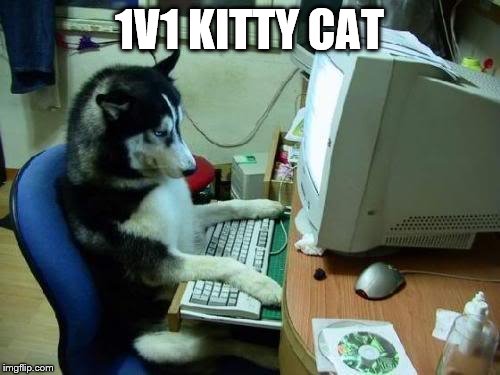 dog on computer | 1V1 KITTY CAT | image tagged in dog on computer | made w/ Imgflip meme maker