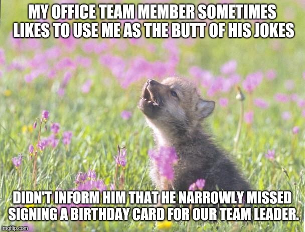 Baby Insanity Wolf Meme | MY OFFICE TEAM MEMBER SOMETIMES LIKES TO USE ME AS THE BUTT OF HIS JOKES; DIDN'T INFORM HIM THAT HE NARROWLY MISSED SIGNING A BIRTHDAY CARD FOR OUR TEAM LEADER. | image tagged in memes,baby insanity wolf,AdviceAnimals | made w/ Imgflip meme maker