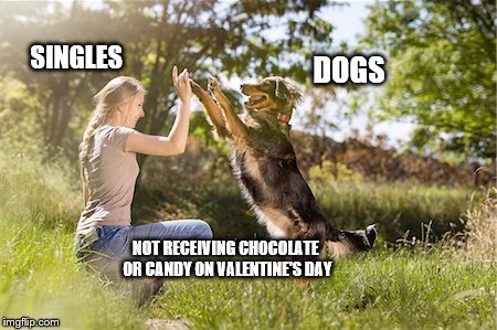 SINGLES; DOGS; NOT RECEIVING CHOCOLATE OR CANDY ON VALENTINE'S DAY | image tagged in single,dogs,valentines,valentines day,jokes,funny | made w/ Imgflip meme maker