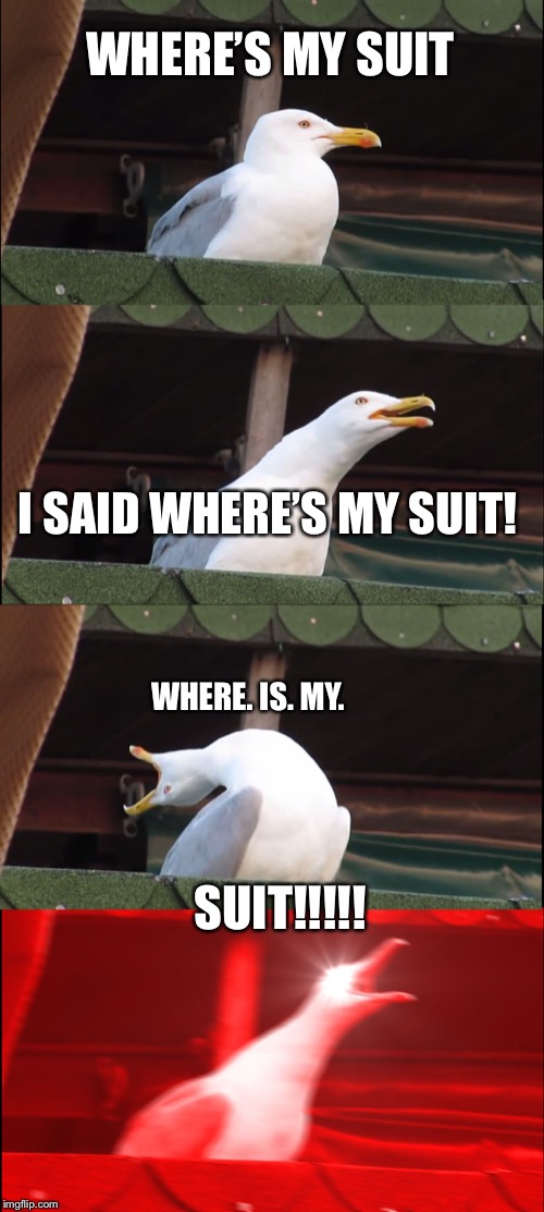 Inhaling Seagull | WHERE’S MY SUIT; I SAID WHERE’S MY SUIT! WHERE. IS. MY. SUIT!!!!! | image tagged in memes,inhaling seagull | made w/ Imgflip meme maker