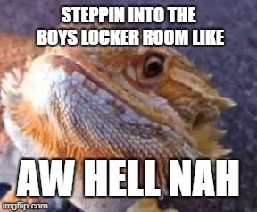 STEPPIN INTO THE BOYS LOCKER ROOM LIKE; AW HELL NAH | image tagged in oh hell no | made w/ Imgflip meme maker