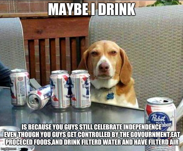 beer dog | MAYBE I DRINK; IS BECAUSE YOU GUYS STILL CELEBRATE INDEPENDENCE EVEN THOUGH YOU GUYS GET CONTROLLED BY THE GOVOURNMENT,EAT PROCECED FOODS,AND DRINK FILTERD WATER AND HAVE FILTERD AIR | image tagged in beer dog | made w/ Imgflip meme maker