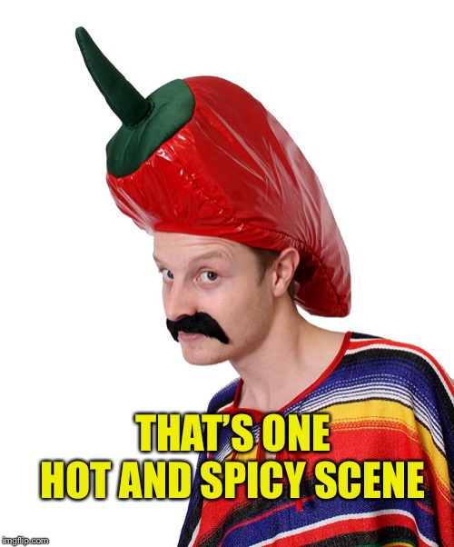 Hot n' Spicy | THAT’S ONE HOT AND SPICY SCENE | image tagged in hot n' spicy | made w/ Imgflip meme maker