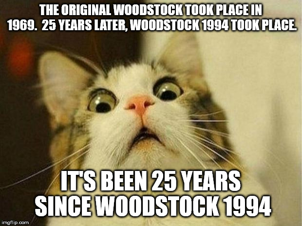 Scared Cat Meme | THE ORIGINAL WOODSTOCK TOOK PLACE IN 1969.  25 YEARS LATER, WOODSTOCK 1994 TOOK PLACE. IT'S BEEN 25 YEARS SINCE WOODSTOCK 1994 | image tagged in memes,scared cat,AdviceAnimals | made w/ Imgflip meme maker