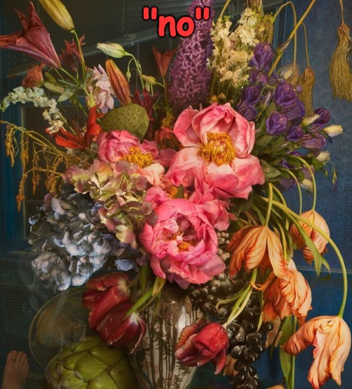 RedRedWine deleted has even made the flowers sad... | "no" | made w/ Imgflip meme maker