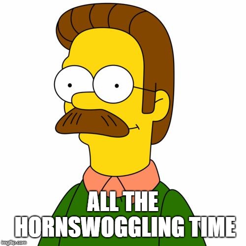 Ned Flanders | ALL THE HORNSWOGGLING TIME | image tagged in ned flanders | made w/ Imgflip meme maker