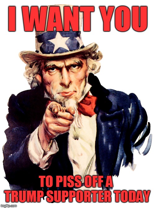 I want you! | I WANT YOU; TO PISS OFF A TRUMP SUPPORTER TODAY | image tagged in patriot,american,freedom,trump | made w/ Imgflip meme maker