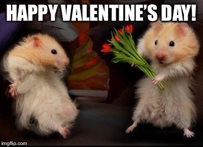 My Valentine | HAPPY VALENTINE’S DAY! | image tagged in my valentine | made w/ Imgflip meme maker
