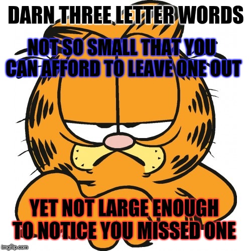Garfield | DARN THREE LETTER WORDS NOT SO SMALL THAT YOU CAN AFFORD TO LEAVE ONE OUT YET NOT LARGE ENOUGH TO NOTICE YOU MISSED ONE | image tagged in garfield | made w/ Imgflip meme maker