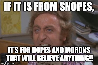 Angry Willy Wonka | IF IT IS FROM SNOPES, IT'S FOR DOPES AND MORONS THAT WILL BELIEVE ANYTHING!! | image tagged in angry willy wonka | made w/ Imgflip meme maker