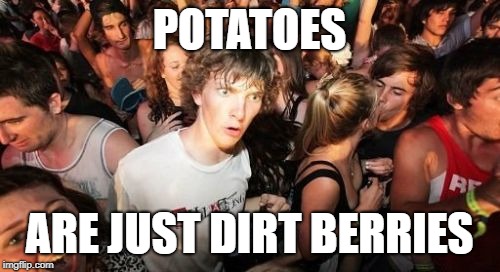 Sudden Clarity Clarence Meme | POTATOES ARE JUST DIRT BERRIES | image tagged in memes,sudden clarity clarence | made w/ Imgflip meme maker