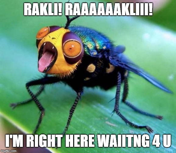 Weird bug  | RAKLI! RAAAAAAKLIII! I'M RIGHT HERE WAIITNG 4 U | image tagged in weird bug | made w/ Imgflip meme maker