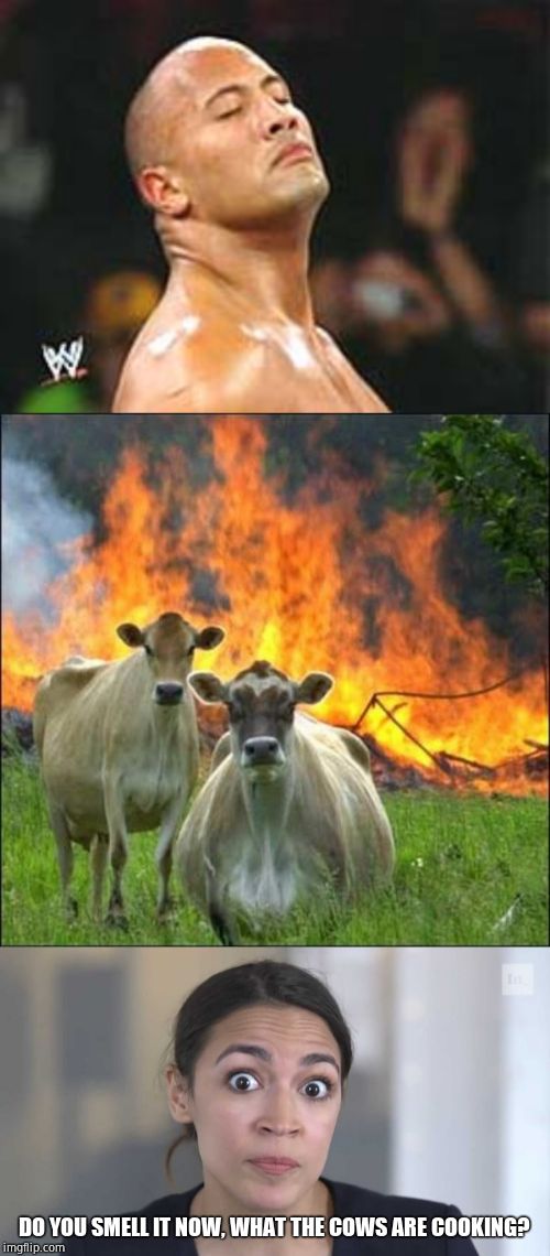 DO YOU SMELL IT NOW, WHAT THE COWS ARE COOKING? | image tagged in memes,evil cows,the rock smelling,crazy alexandria ocasio-cortez | made w/ Imgflip meme maker