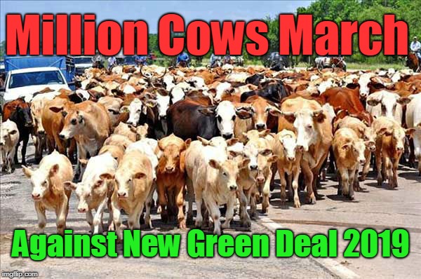 Cows March on Washington | Million Cows March; Against New Green Deal 2019 | image tagged in cows,new green deal,aoc,march on washington | made w/ Imgflip meme maker