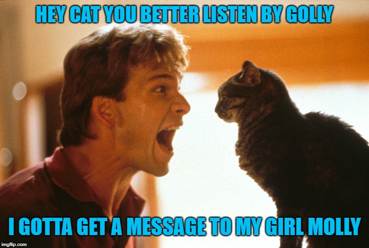 HEY CAT YOU BETTER LISTEN BY GOLLY I GOTTA GET A MESSAGE TO MY GIRL MOLLY | made w/ Imgflip meme maker